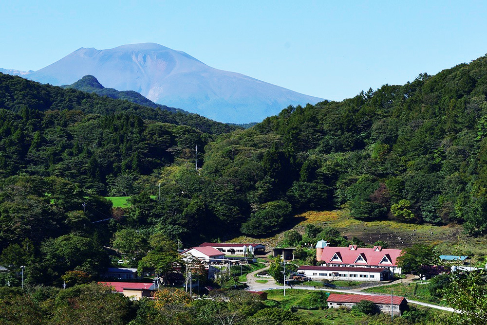 神津牧場花まつり開催