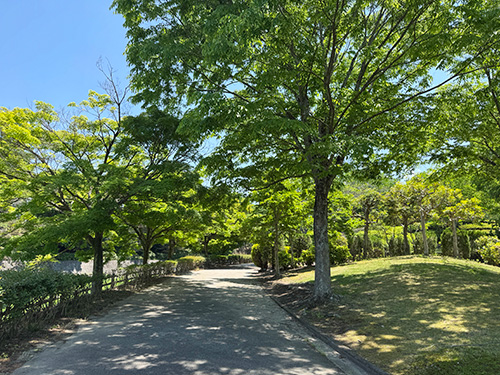 【第48弾】アンブレラスカイ・ちぃじがき蕎麦の館「那須庵」