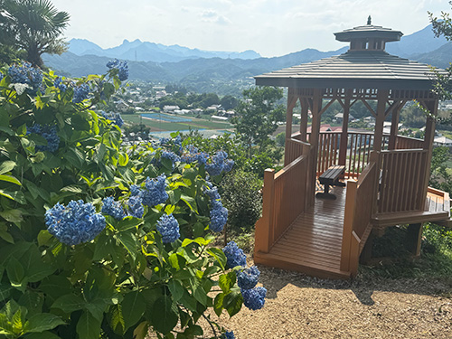 【第49弾】下仁田町あじさい園