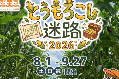 ミョウギノツチ農園で「とうもろこし迷路2026」を開催中！（9/27まで）